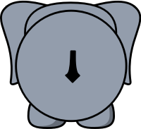 elephant BACK