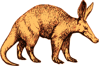 Aardvark
