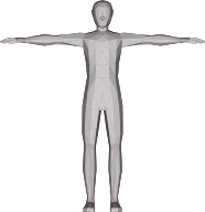 Low Poly Human Male