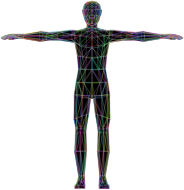 Prismatic Low Poly Human Male Wireframe