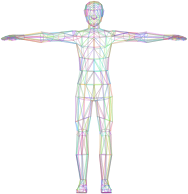 Prismatic Low Poly Human Male Wireframe No Background