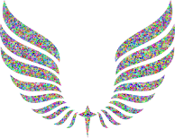 Prismatic Low Poly High Detail Abstract Wings