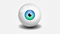 Eye