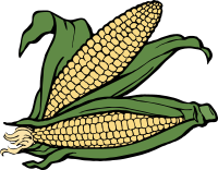 corn