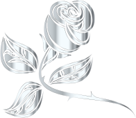 Stylized Rose Extended 7 Minus Background