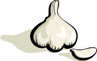 garlic