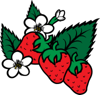 strawberries