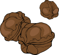 walnuts