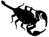 Scorpion Silhouette 2