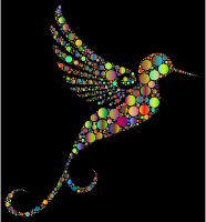 Prismatic Hummingbird Circles 4