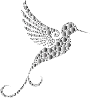 Prismatic Hummingbird Circles 8 No Background
