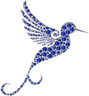 Prismatic Hummingbird Circles 11 No Background