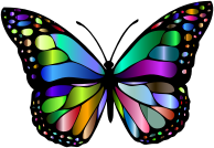 Monarch Butterfly 2 Variation 3