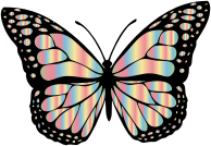 Monarch Butterfly 2 Variation 7