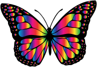 Monarch Butterfly 2 Variation 9