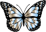 Monarch Butterfly 2 Variation 10