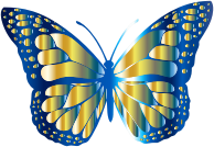 Monarch Butterfly 2 Variation 11