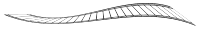 Film Strip Perspective 11