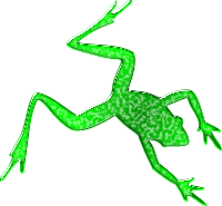 Frog 4