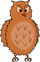 Enraged owl - side view