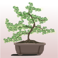 bonsai-09