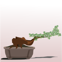 bonsai-10