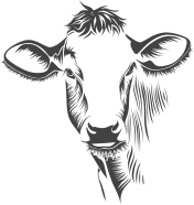 Detailed Cow Line Art