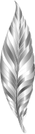 Prismatic Feather 4