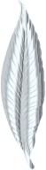 Silver Feather
