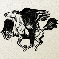 Pegasus sketch test