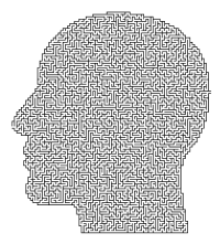 Man Head Maze