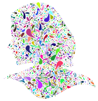 Prismatic Abstract Drops Female Head No Background