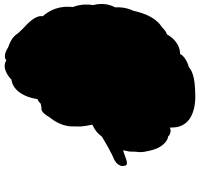 Brain Profile Optimized Silhouette