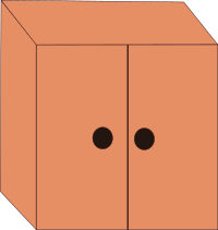 Case