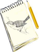 Sketchpad, with drawing of a bird