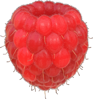 Raspberry