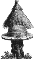 Beehive