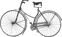 Old Bicycle