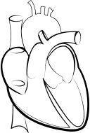 Heart Line Art