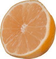 Cut orange