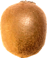 Kiwifruit