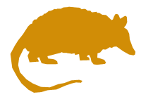 Armadillo