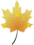 Autumn Leaf 2