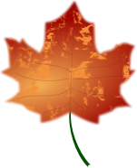 Autumn Leaf 3