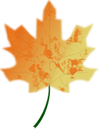 Autumn Leaf 5