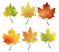 Autumn Leaves