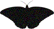 Prismatic Butterfly Typography