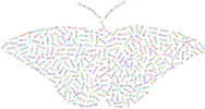 Prismatic Butterfly Typography No Background