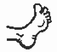 Foot
