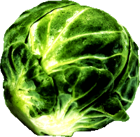 Sprout